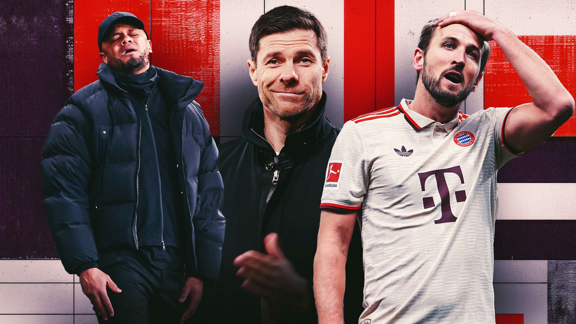 保护自家的 保护自家的